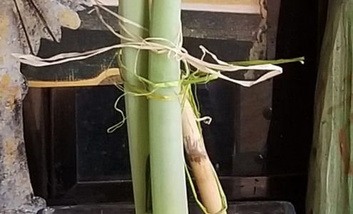 Grove Chiropractic LLC