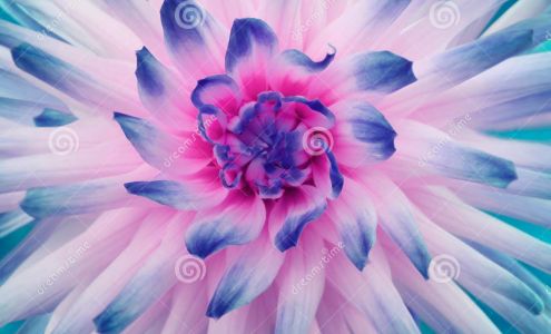 Edgewood Family Chiropractic