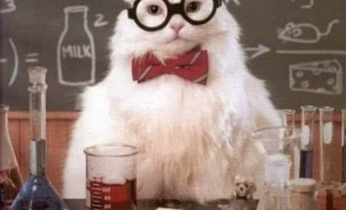 Hudak Chiropractic & Wellness