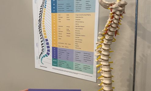 The Joint Chiropractic