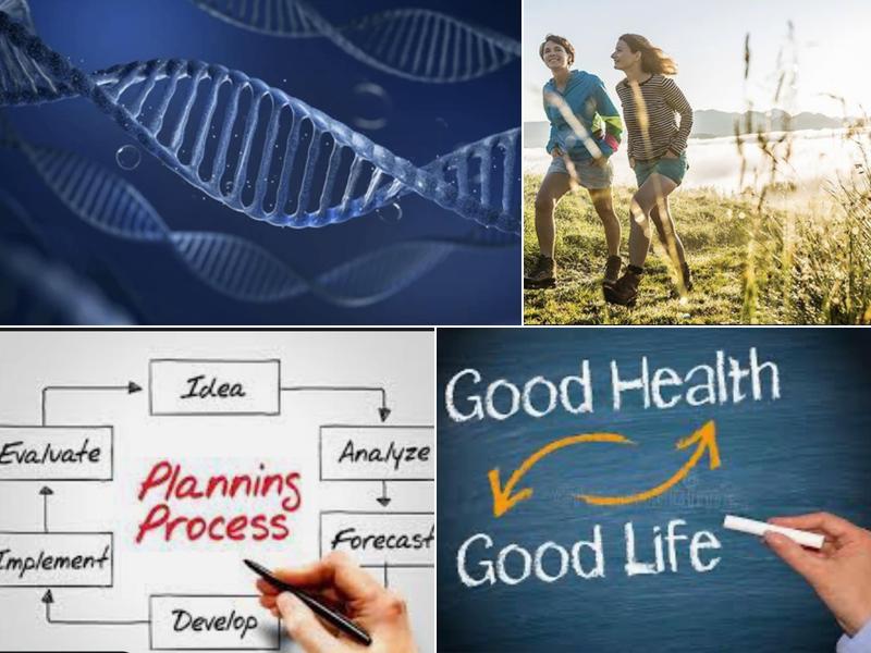 Longenecker Chiropractic