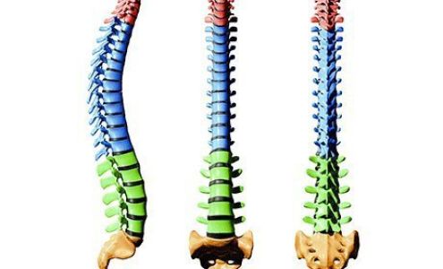 Shus Family Wellness Center