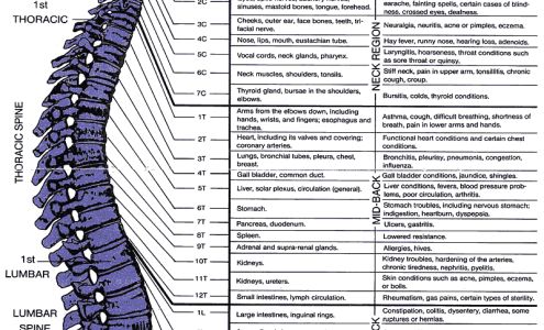 Woodbridge Chiropractic