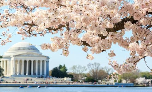 Commonwealth Family Healthcare 5216 Rolling Rd, Burke Virginia 22015