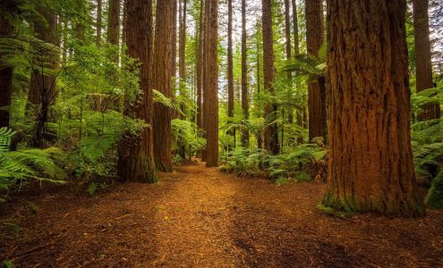 Seymour Chiropractic and Wellness Centre 3650 Mt Seymour Pkwy, North Vancouver British Columbia V7H 2Y5