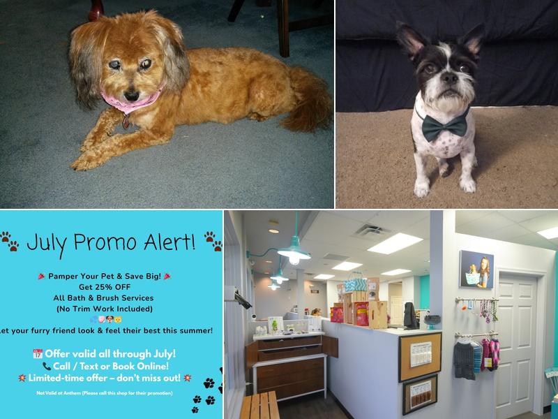 Puff & Fluff Grooming - Arrowhead