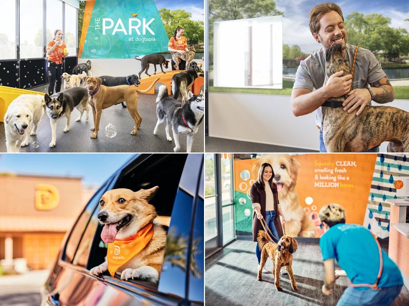 Dogtopia of Tanque Verde