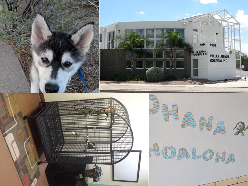 VCA Valley Pet Resort