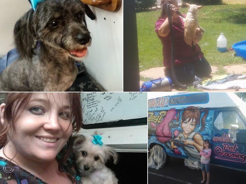 What's Up Dog Mobile Pet Groom