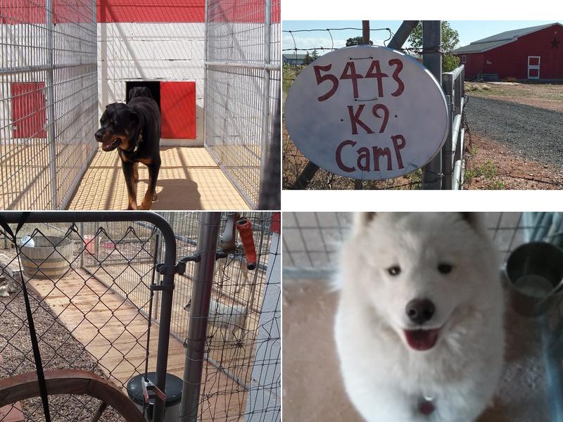 White Mountain K-9 Camp, LLC