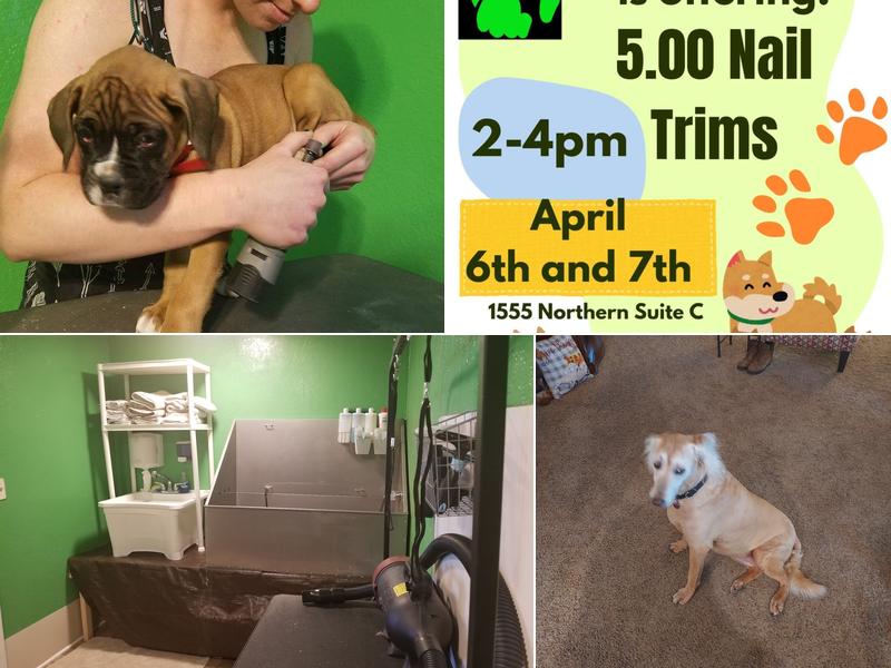 The Altered Dog Pet Services