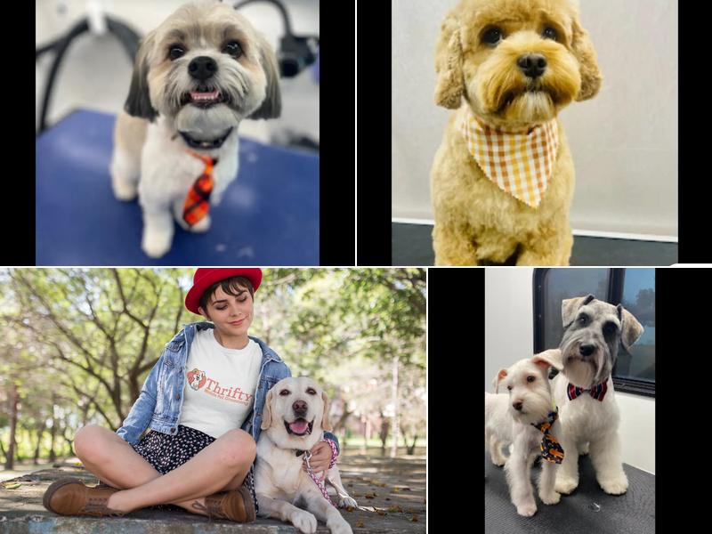 Thrifty Mobile Pet Grooming