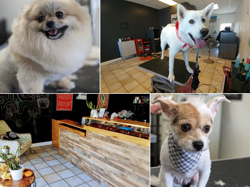 Roxy's Pooch Parlour