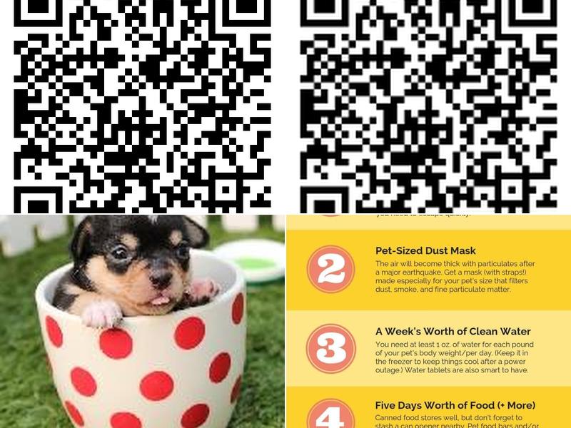 David's Dog Grooming