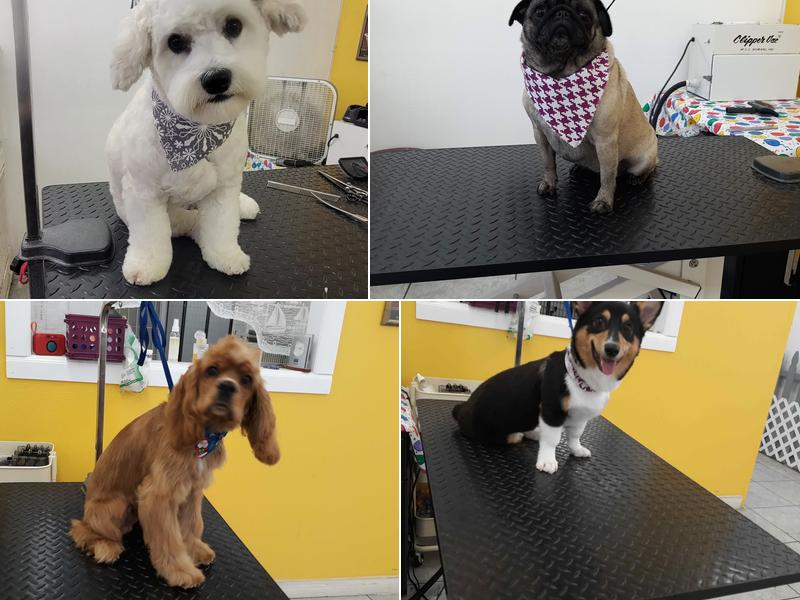 Furr Paradise Stanton, LLC