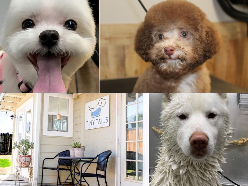 Tiny Tails Grooming Salon