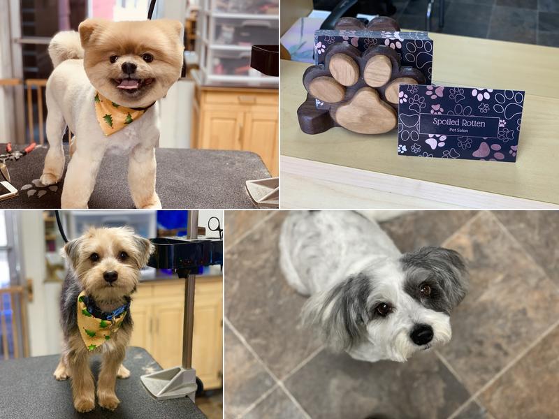 Spoiled Rotten Pet Salon