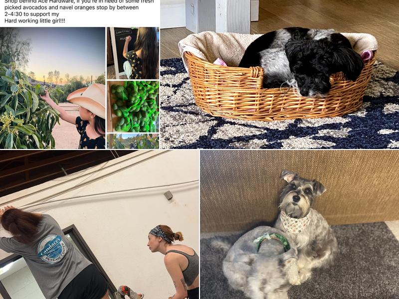 Candaces Pet Care Center