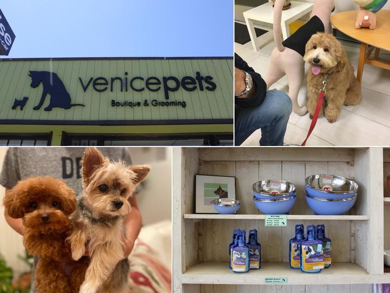 marina dog grooming by venicepets