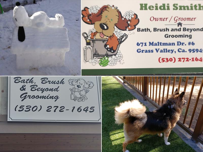 Bath, brush and beyond grooming Grass valley ca