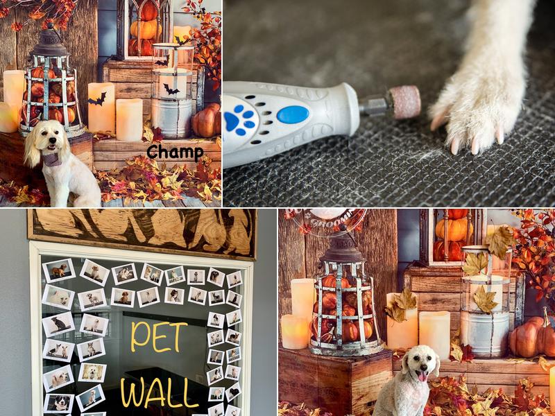 Puppy Place Grooming