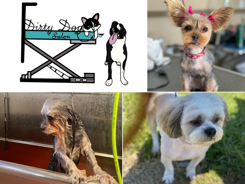 Dirty Dog Salon