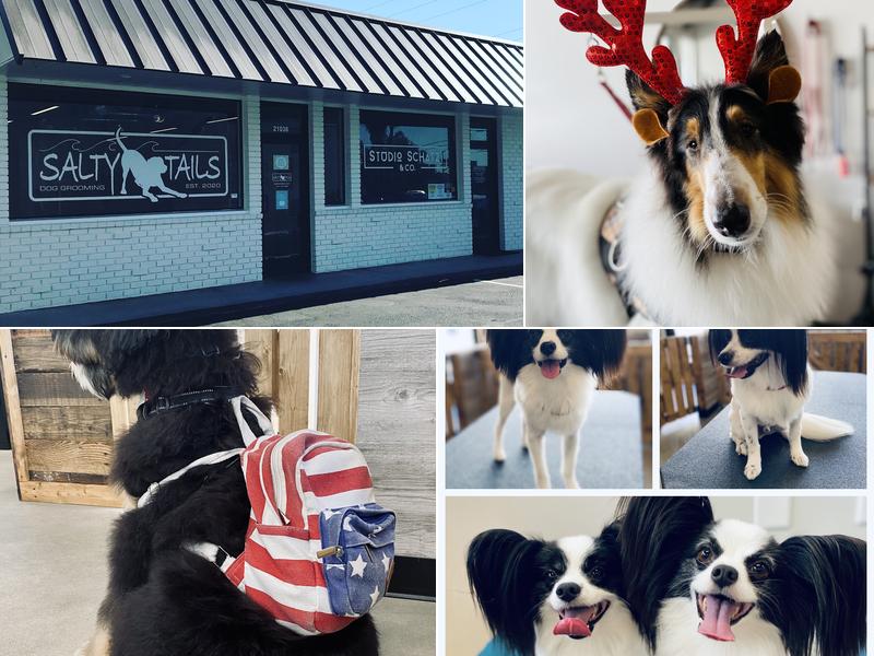 Salty Tails Grooming Salon