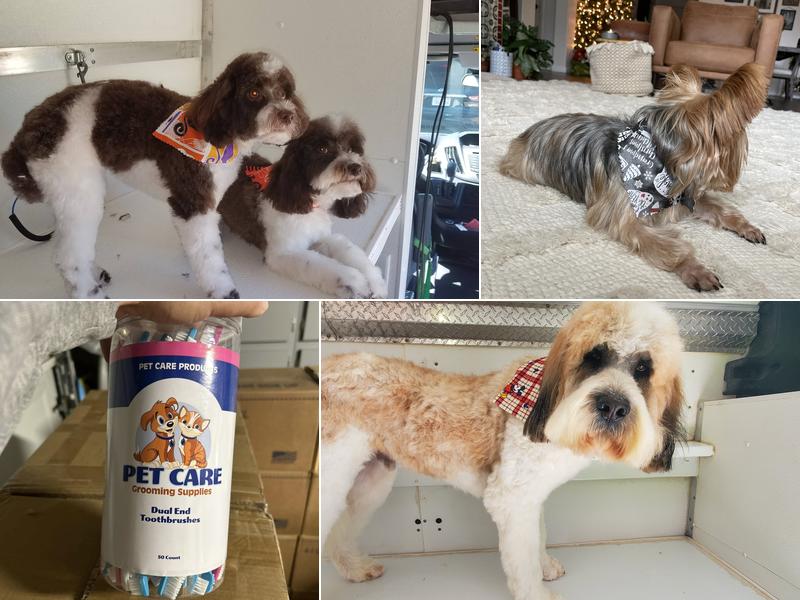 Pet care mobile grooming