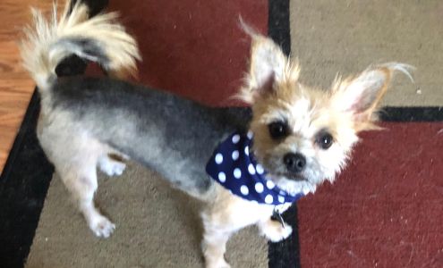 Beauty and the BEST mobile grooming 2615 E Plaza Blvd, National City California 91950