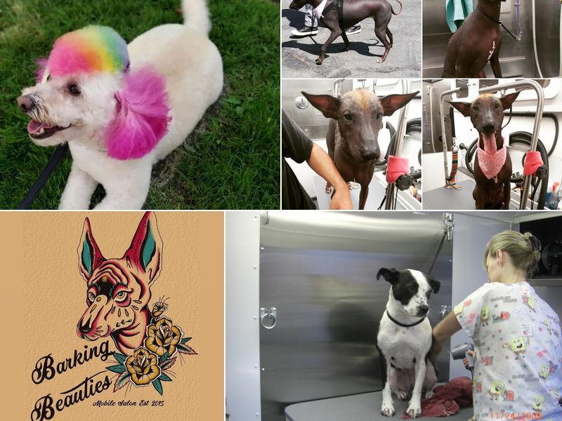 Barking Beauties Mobile Dog Grooming