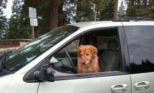 Avonna's Critter Clippers and Custom Gifts 3450 CA-147, Lake Almanor California 96137