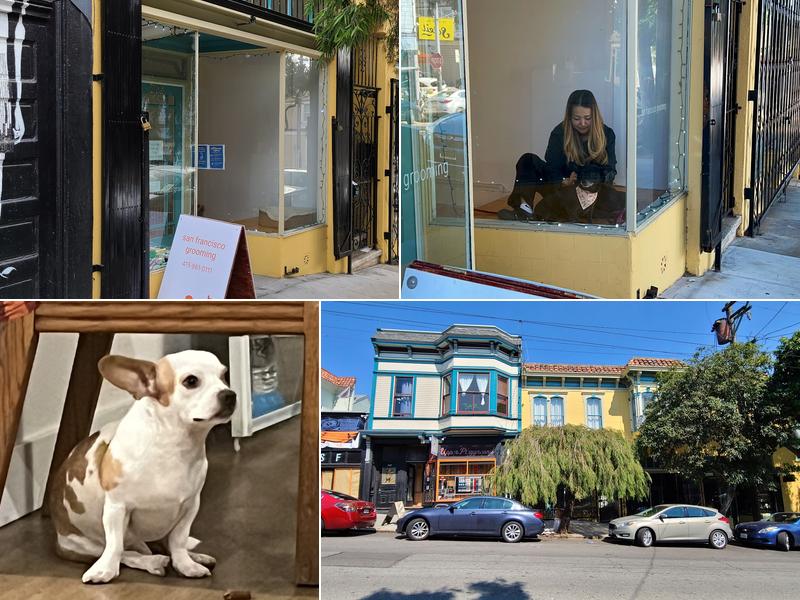 San Francisco Pet Grooming