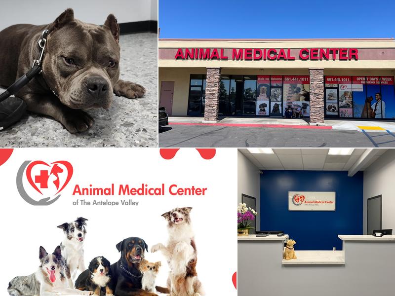 Animal Medical Center of The Antelope Valley