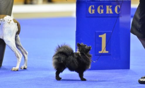 Waggs Pet Spaw 1920 Solano St, Corning California 96021