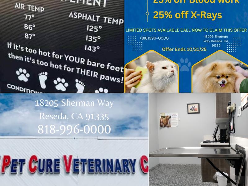 Pet Cure Veterinary Center