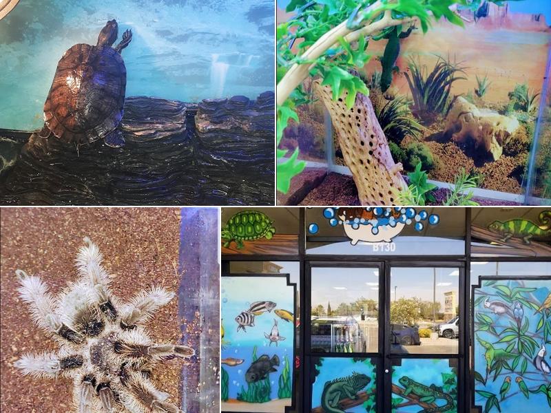 Wow Fish and Pet ( Aquarium )