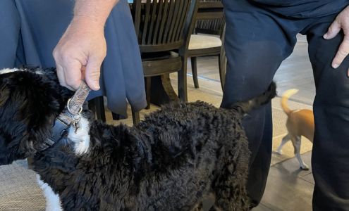 Fritzy's Pet Care Pros