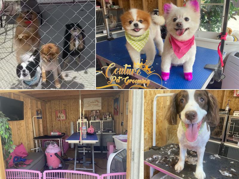 Couture Pet Grooming