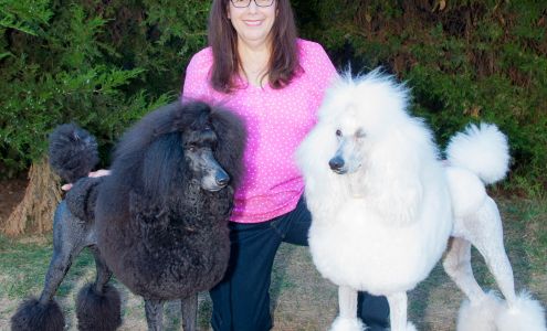 Barking Beauties Dog Spa