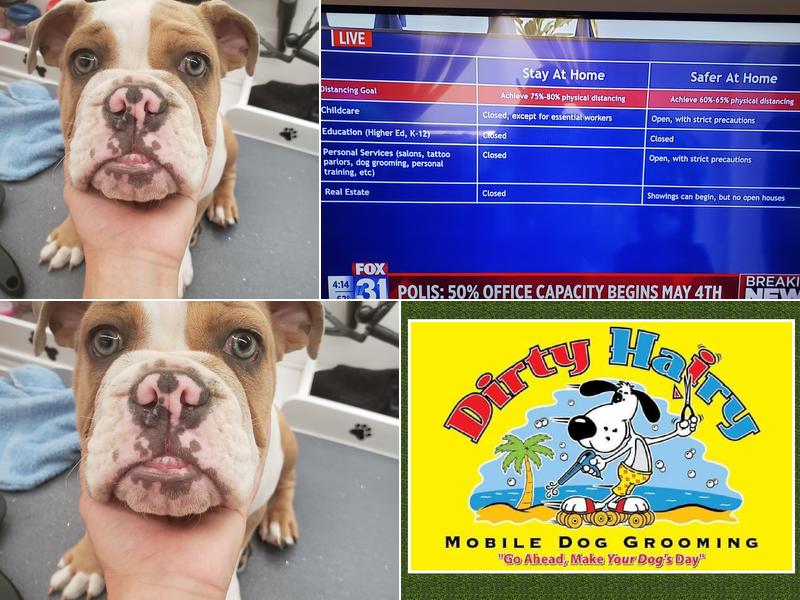 Dirty Hairy Mobile Dog Grooming Spa