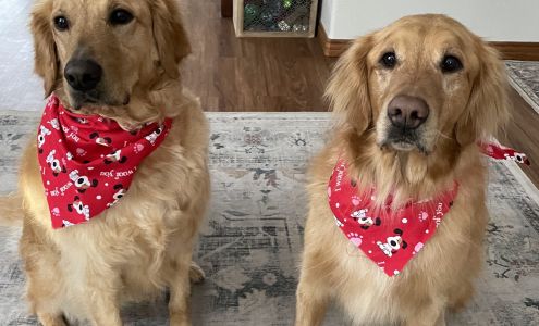 Award Winning Pet Grooming