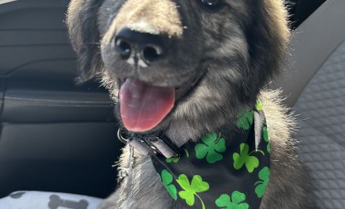 Mountain View Pet Lodge