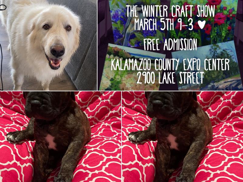 Fancy Paws and Waggin Tails, LLC