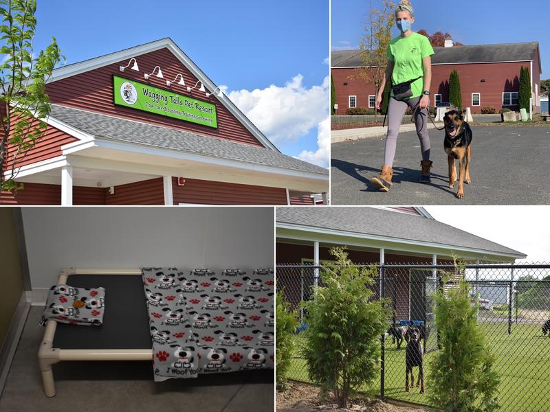 Wagging Tails Pet Resort