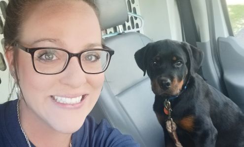 Precision Mobile Pet Grooming