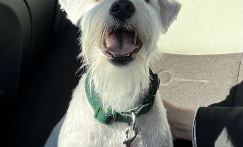 Ashley's Pack LLC 675 S Semoran Blvd, Orlando Florida 32807