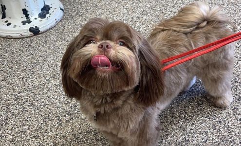 Groomingdales on the Gulf