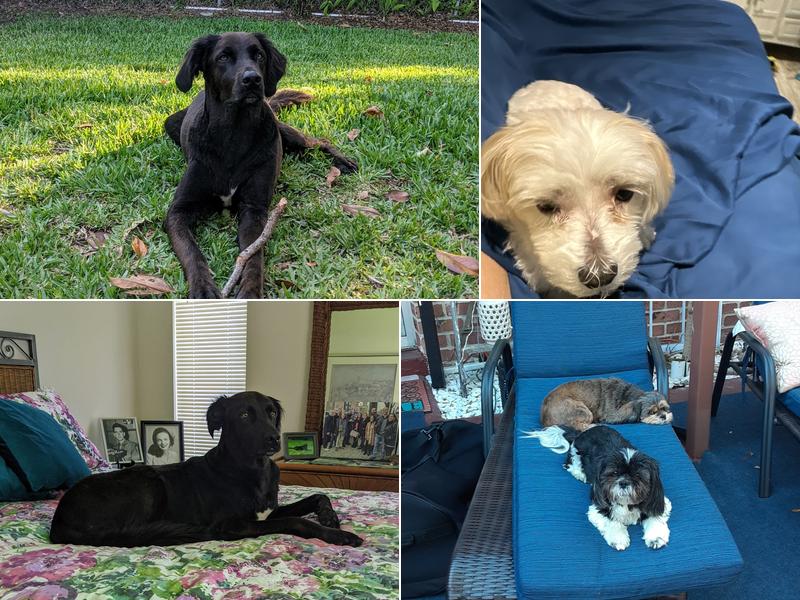 Ultra Pet Mobile Grooming Inc