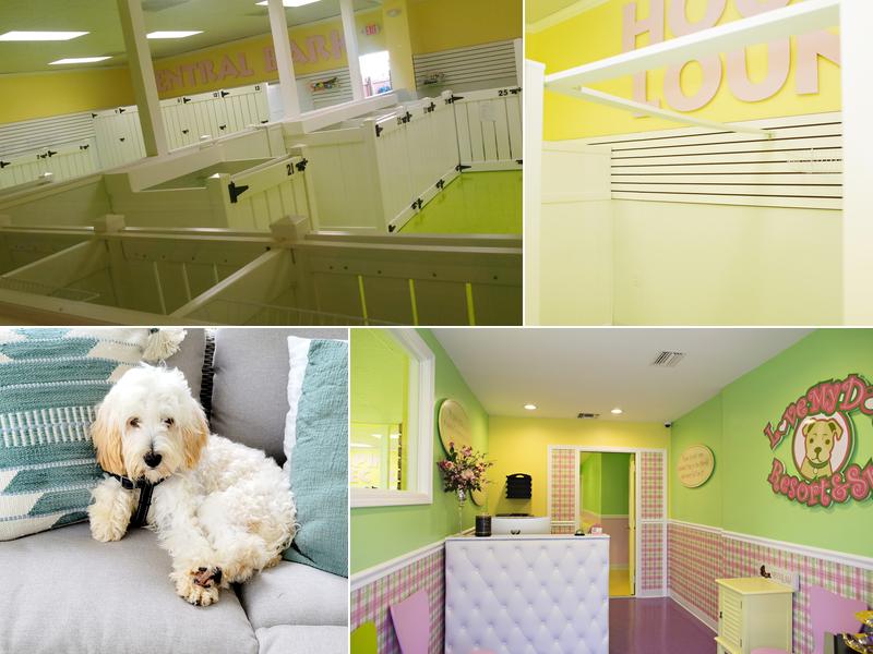 Love My Dog Resort & Spa