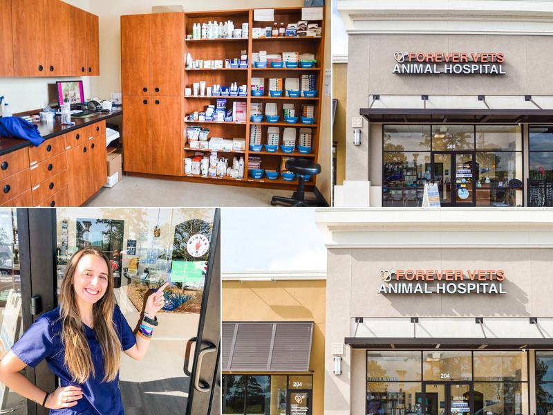 Forever Vets Animal Hospital of Murabella Parkway